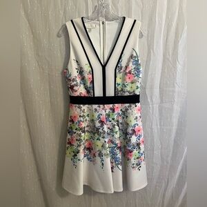 Ted Baker Floral Dress